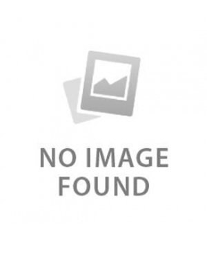 Rebirth of Hong Kong Island, I, the rice class leader