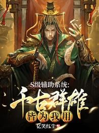 S-level auxiliary system: All the heroes of the ages are for my own use