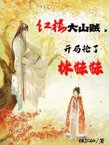 The big bandit in the Red Mansion robbed Lin Daiyu at the beginning