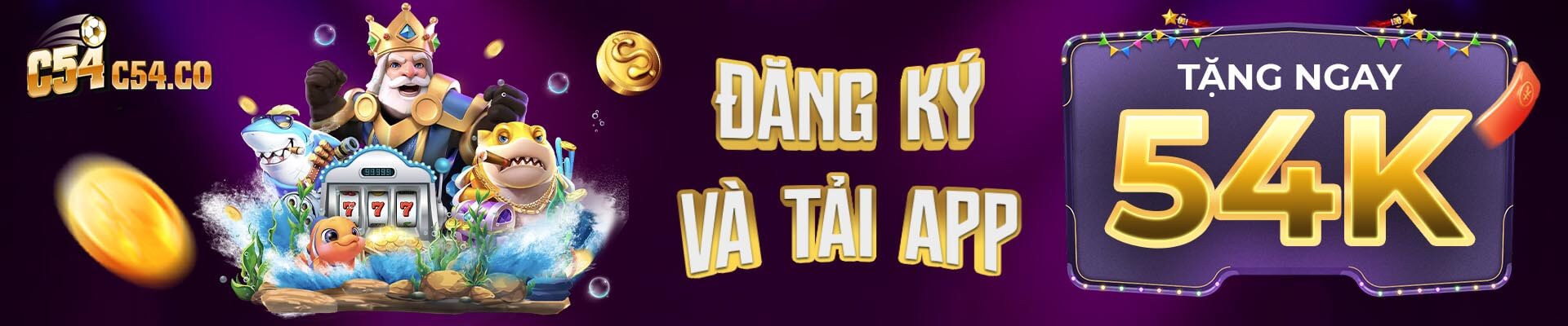 BANER C54