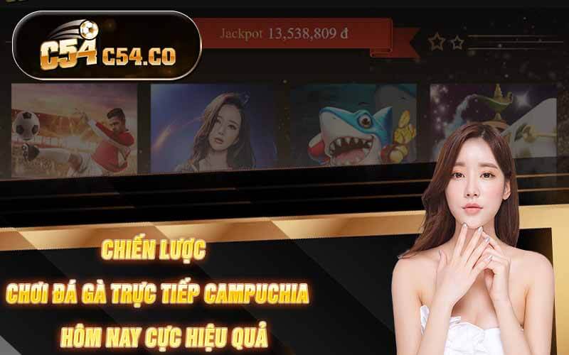 Chiến Lược Chơi Đá Gà Trực Tiếp Campuchia Hôm Nay Cực Hiệu Quả