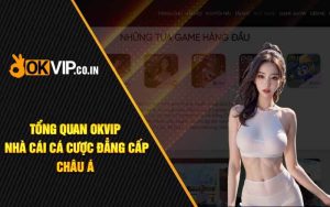 Tổng Quan Okvip - Nhà Cái Cá Cược Đẳng Cấp Châu Á